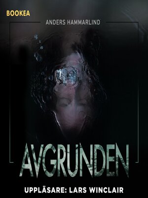 cover image of Avgrunden